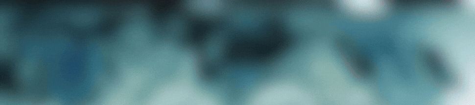 spot_img
